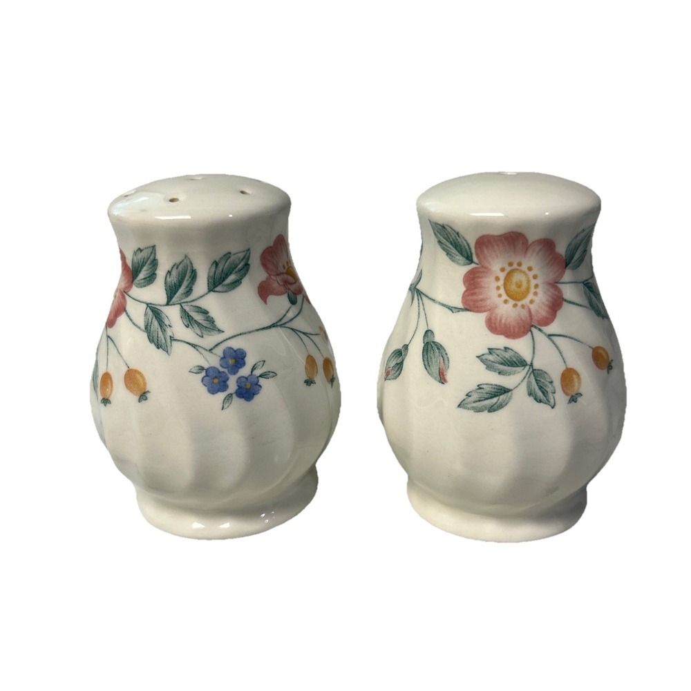 CHURCHILL (ENGLAND) BRIAR ROSE SALT AND PEPPER SHAKERS Country Core Floral